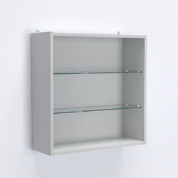 Витрина настенная №201-1Г с двумя полками, Серый