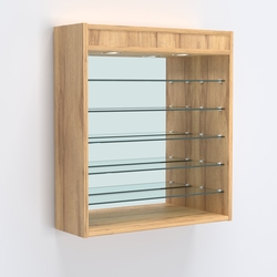 Витрина настенная №201-8Г открытая с пятью узкими полками, подсветкой и зеркалом, Дуб Золотистый