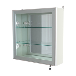 Витрина настенная №1-2А с зеркалом серии Collecto, Белый