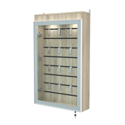 Витрина настенная №2-2Б с эконом панелью и верхней подсветкой серии Collecto, Дуб Сонома