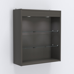 Витрина настенная №201-3Г открытая с подсветкой, Черный