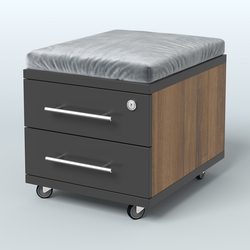 Тумба 2 ящика под подушку Лиани, цвет шамони темный, Орех + Черный