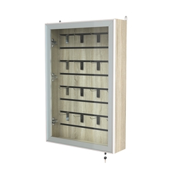 Витрина настенная №2-1Б с эконом панелью и стеклянными дверками серии Collecto, Дуб Сонома