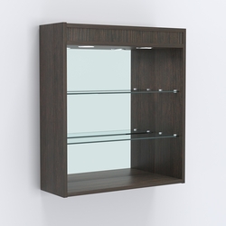 Витрина настенная №201-4Г открытая зеркальная с подсветкой, Дуб Венге