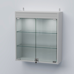 Витрина настенная №201-3А с прозрачными полками и фризом с подсветкой, Белый