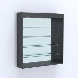 Витрина настенная №204-4Г зеркальная с прозрачными полками и подсветкой, Антрацит