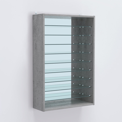 Витрина настенная №202-6Г открытая с девятью полками и зеркалом, Бетон Чикаго светло-серый F186 ST9