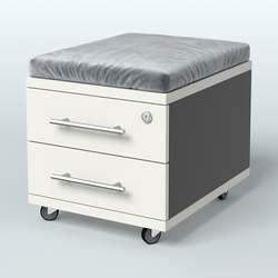 Тумба 2 ящика под подушку Лиани, цвет шамони темный, Черный + Белый