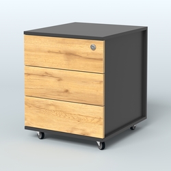 Тумба мобильная Киви, цвет белый, Черный и Дуб Золотистый U1148