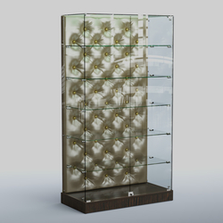 Низкая стеклянная витрина с КРЕМОВЫМ БАРХАТОМ ХП-505 (карета золото), Дуб Венге + Экокожа золотистая