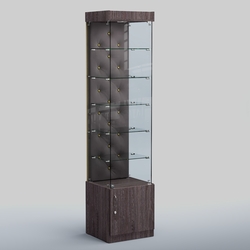 Высокая стеклянная витрина КАПИТОНЕ №502, Ясень темный+16 G