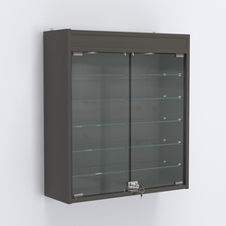 Витрина настенная №201-7А с пятью полками из стекла и верхней подсветкой, Черный