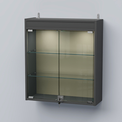 Витрина настенная №201-3А с прозрачными полками и фризом с подсветкой, Темно-Серый