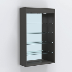 Витрина настенная №202-4Г высокая зеркальная с подсветкой, Черный