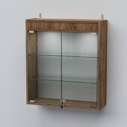 Витрина настенная №201-3А с прозрачными полками и фризом с подсветкой, Дуб Канзас коричневый