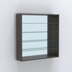 Витрина настенная №204-2Г открытая с прозрачными полками и зеркалом, Дуб Венге