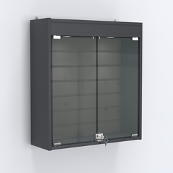 Витрина настенная №201-2Б с эконом панелью и фризом, Антрацит