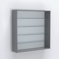 Витрина настенная №204-1Г открытая с прозрачными полками, Темно-Серый