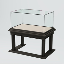 Витрина для музеев "Коллекция" №21, Черный