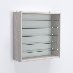 Витрина настенная №201-5Г открытая с пятью прозрачными полками, Ясень Анкор светлый