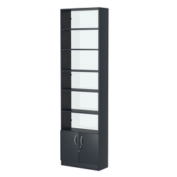 Стеллаж из ДСП с 5-ю полками 250x600 мм серии LEVEL-5 №4-1 (З/C - СТЕКЛО), Антрацит