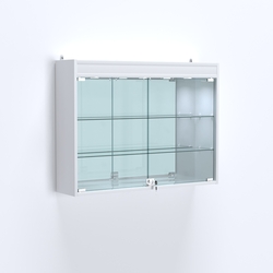 Витрина настенная №203-4А зеркальная с двумя широкими полками и фризом, Белый