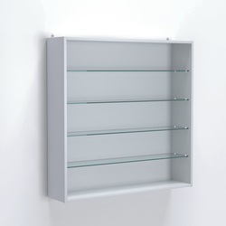 Витрина настенная №204-1Г открытая с прозрачными полками, Серый