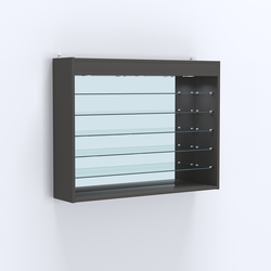 Витрина настенная №203-8Г открытая с пятью полками, зеркалом и подсветкой, Черный