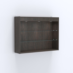 Витрина настенная №203-3Г открытого доступа со стеклянными полками и верхней подсветкой, Дуб Венге