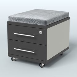 Тумба 2 ящика под подушку Лиани, цвет шамони темный, Белый и Черный