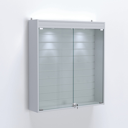 Витрина настенная №204-2Б закрытая с экономпанелью и фризом, Серый