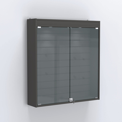 Витрина настенная №204-2Б закрытая с экономпанелью и фризом, Черный