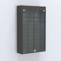 Витрина настенная №202-2Б с эконом панелью и верхней подсветкой, Черный