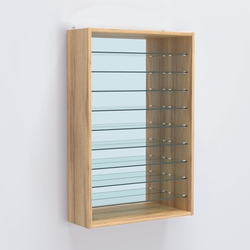 Витрина настенная №202-6Г открытая с девятью полками и зеркалом, Дуб Золотистый