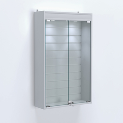 Витрина настенная №202-2Б с эконом панелью и верхней подсветкой, Серый