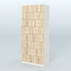 Шкаф для аптек - картотека серии RED №8 , Белый + Дуб Сонома