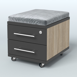 Тумба 2 ящика под подушку Лиани, цвет шамони темный, Дуб Сонома + Черный