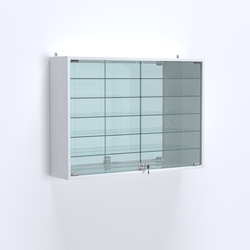 Витрина настенная №203-6А широкая зеркальная с пятью стеклянными полками, Белый