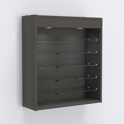 Витрина настенная №201-8Г открытая с пятью узкими полками, подсветкой и зеркалом, Черный