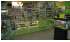 Изображение фотогаллереи №52 для раздела Настенные одно секционные системы с полками для магазина зоотоваров серии ZOO
